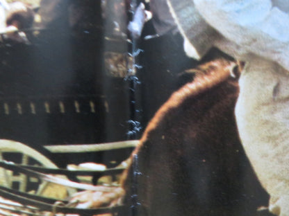 MASOCH - A ITALIAN FOTOBUSTA POSTER PAOLO MALCO FRANCESCA DE SAPIO 1980 Rendezvous Cinema Movie posters