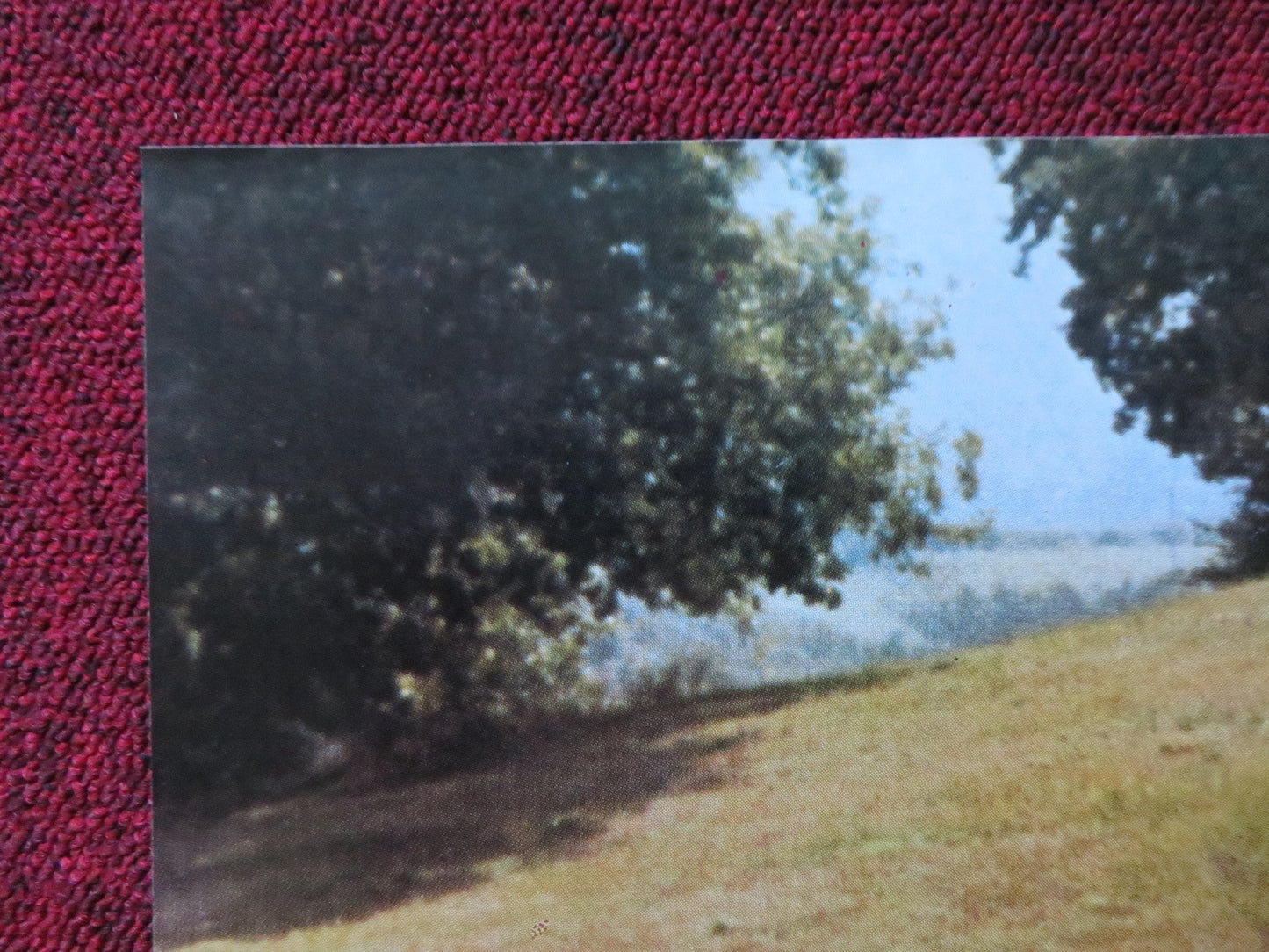 MASOCH - A ITALIAN FOTOBUSTA POSTER PAOLO MALCO FRANCESCA DE SAPIO 1980 Rendezvous Cinema Movie posters