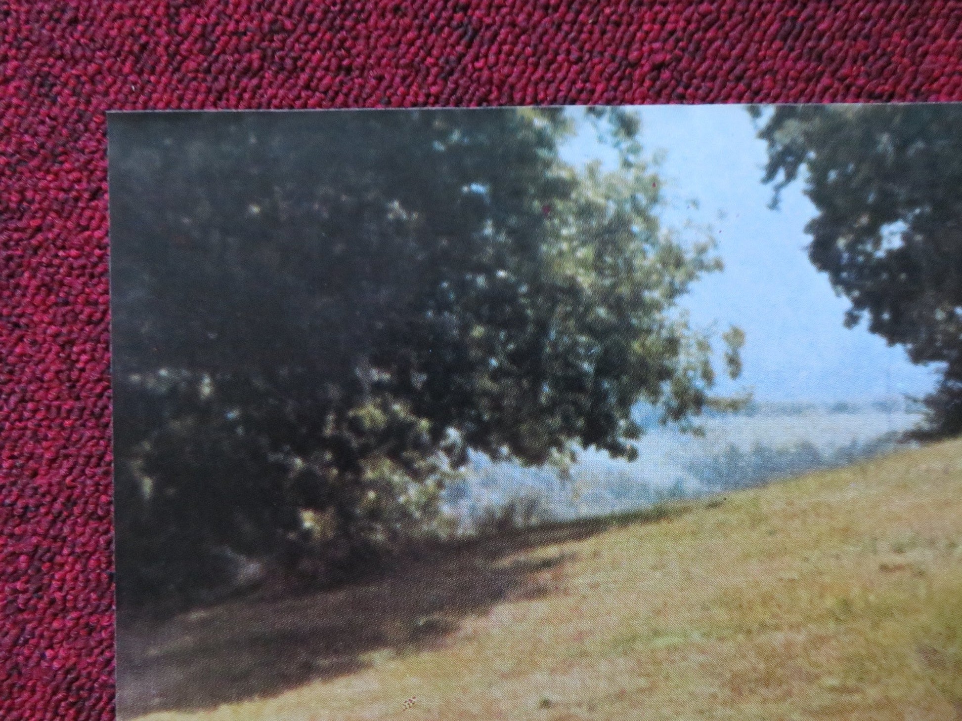 MASOCH - A ITALIAN FOTOBUSTA POSTER PAOLO MALCO FRANCESCA DE SAPIO 1980 Rendezvous Cinema Movie posters