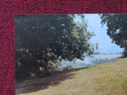 MASOCH - A ITALIAN FOTOBUSTA POSTER PAOLO MALCO FRANCESCA DE SAPIO 1980 Rendezvous Cinema Movie posters