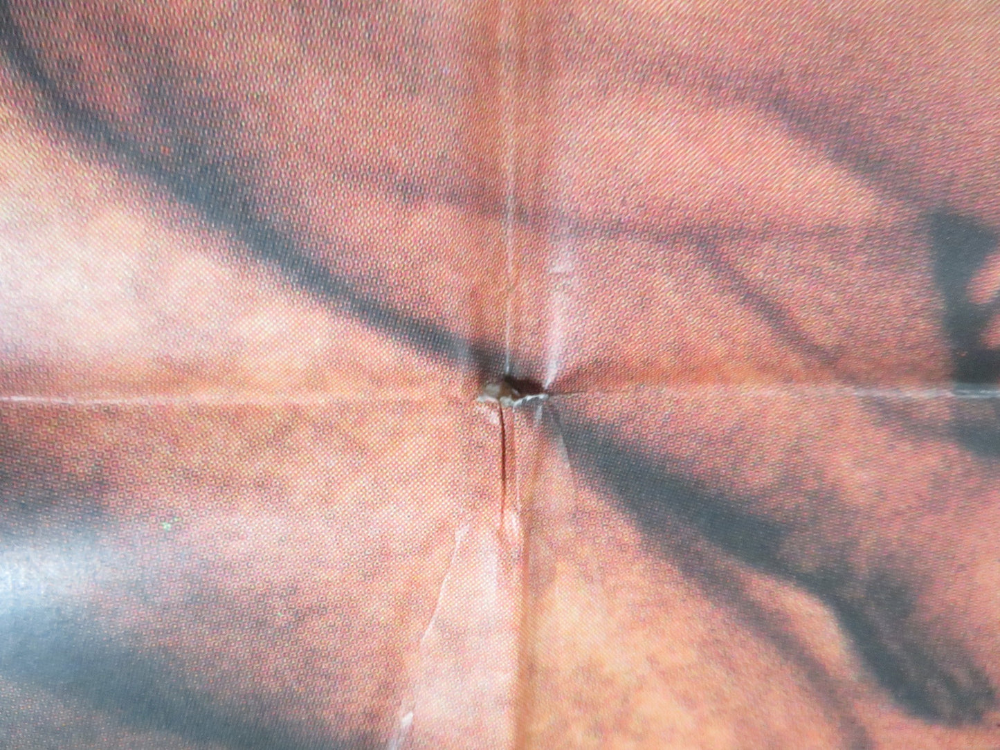 MASOCH ITALIAN 2 FOGLIO POSTER PAOLO MALCO FRANCESCA DE SAPIO 1980 Rendezvous Cinema Movie posters