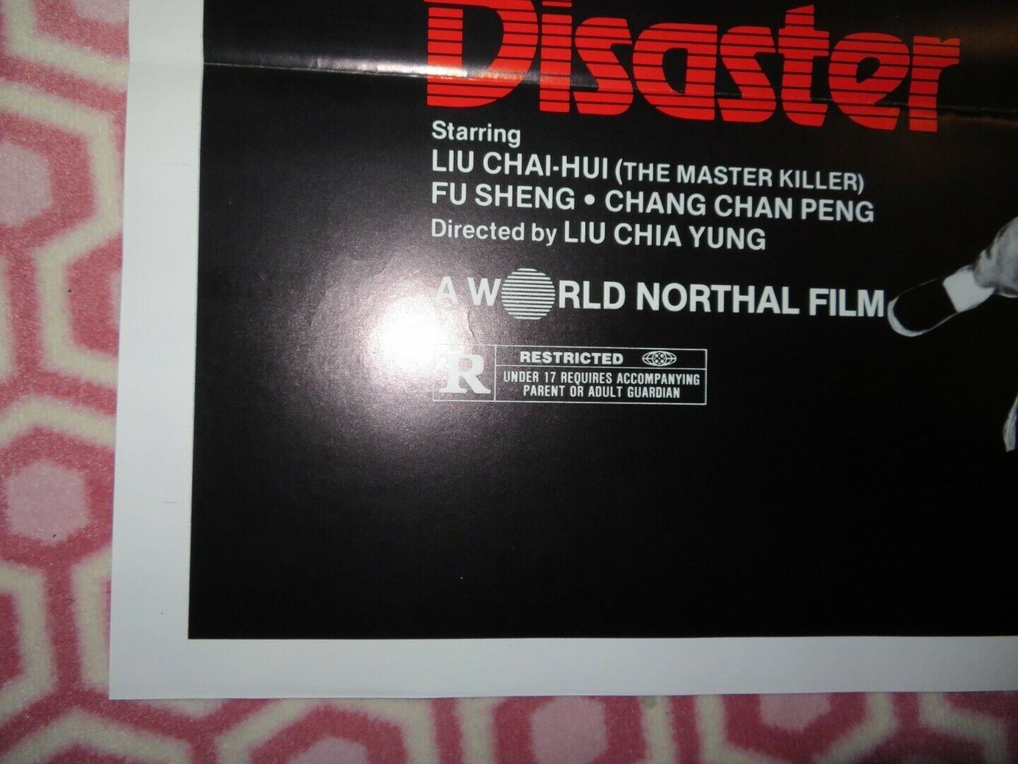 MASTER OF DISASTER / The Treasure Hunters US ROLLED POSTER SHAW BROTHERS 1981 - Rendezvous Cinema