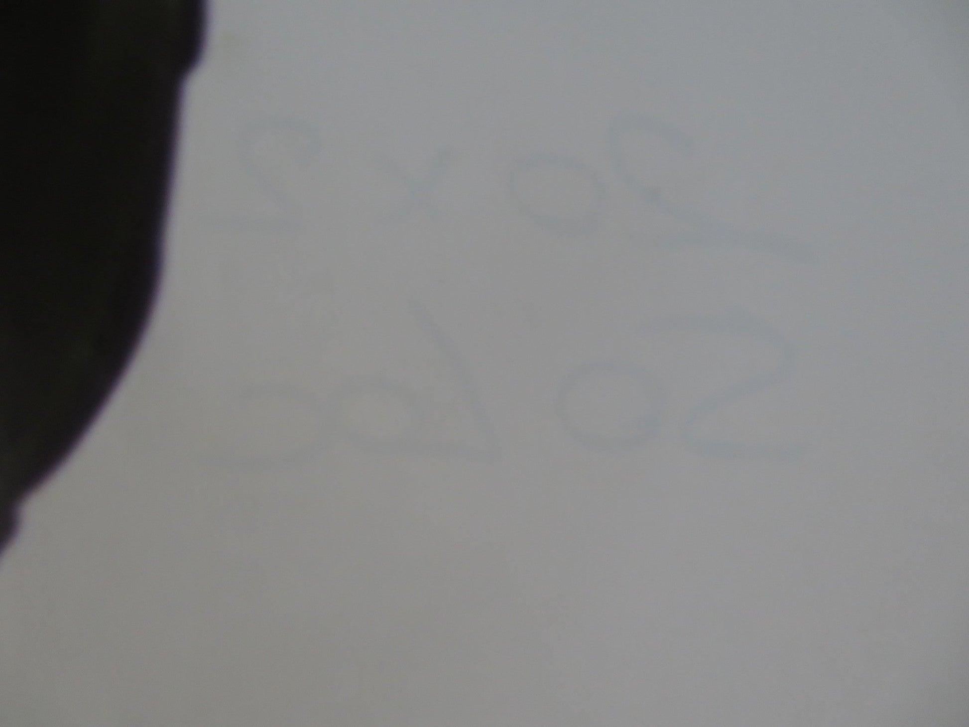 MATEO ITALIAN FOGLIO POSTER CARLOS HERNANDEZ FELIPE BOTERO 2014 Rendezvous Cinema Movie posters