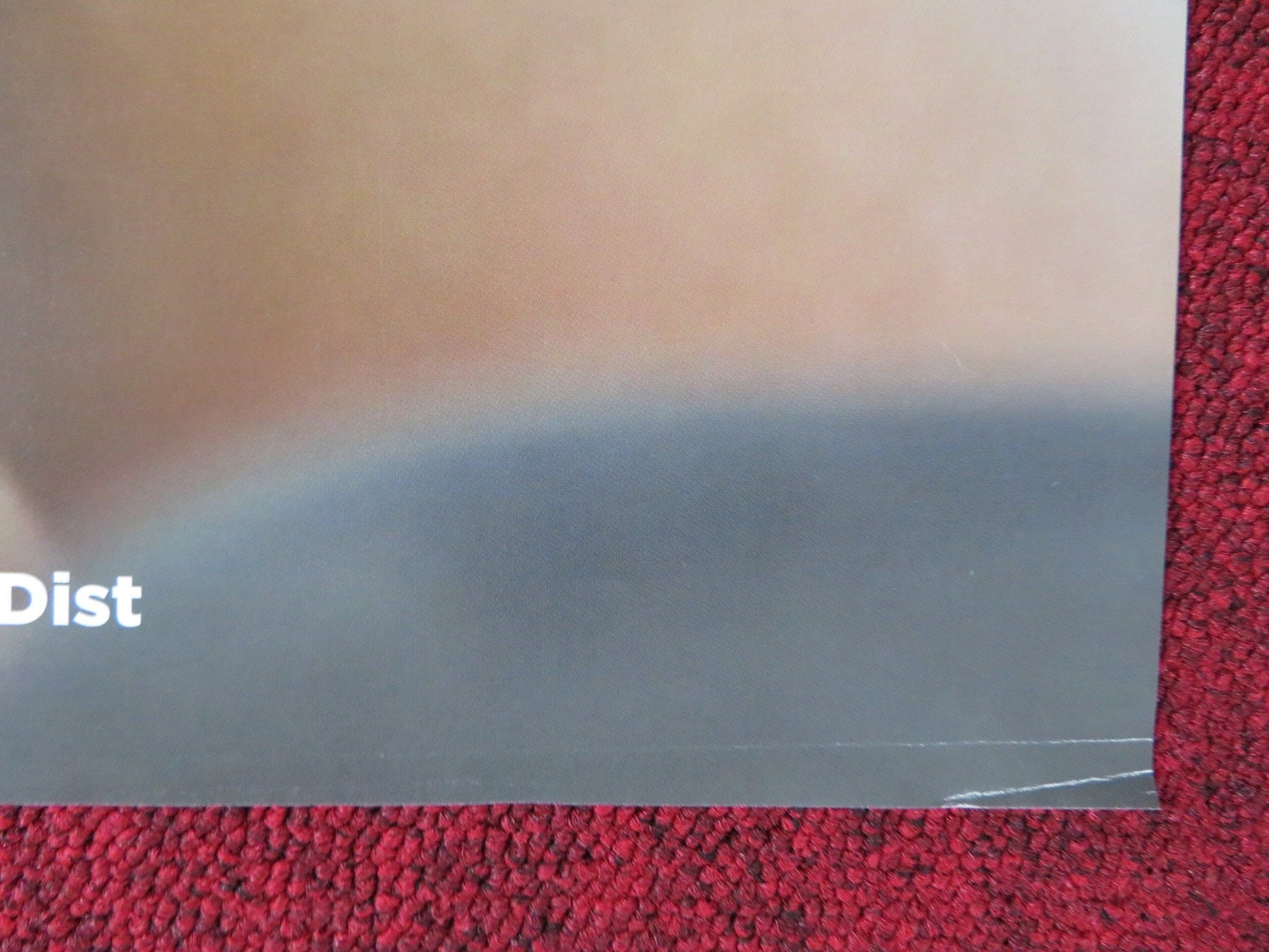 MATEO ITALIAN FOGLIO POSTER CARLOS HERNANDEZ FELIPE BOTERO 2014 Rendezvous Cinema Movie posters