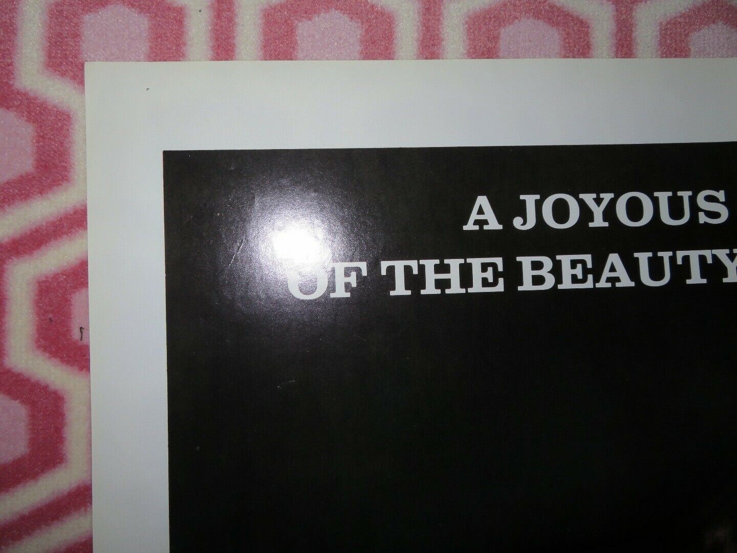 MATTER OF LOVE US ONE SHEET POSTER CHRISTY NEAL MICHELLE HARRIS 1979 Movie posters