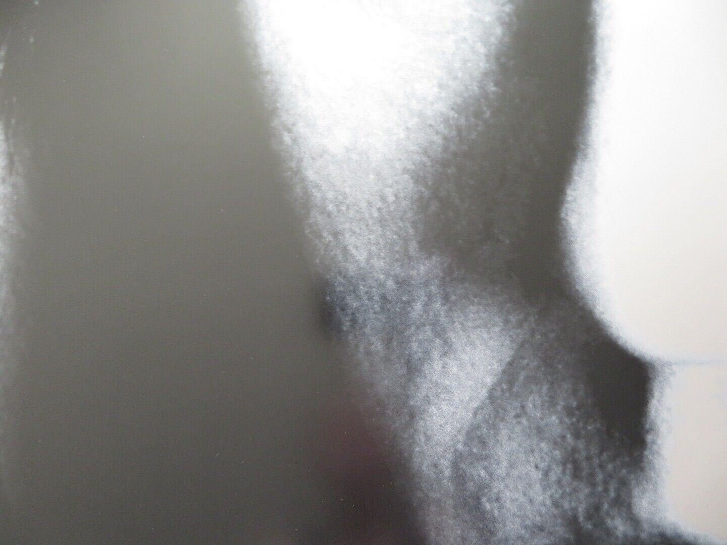 MAX US ONE SHEET ROLLED POSTER JOHN CUSACK NOAH TAYLOR 2002 - Rendezvous Cinema