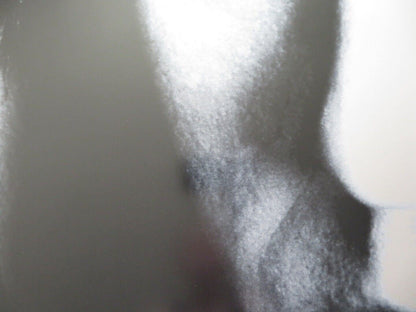 MAX US ONE SHEET ROLLED POSTER JOHN CUSACK NOAH TAYLOR 2002 - Rendezvous Cinema