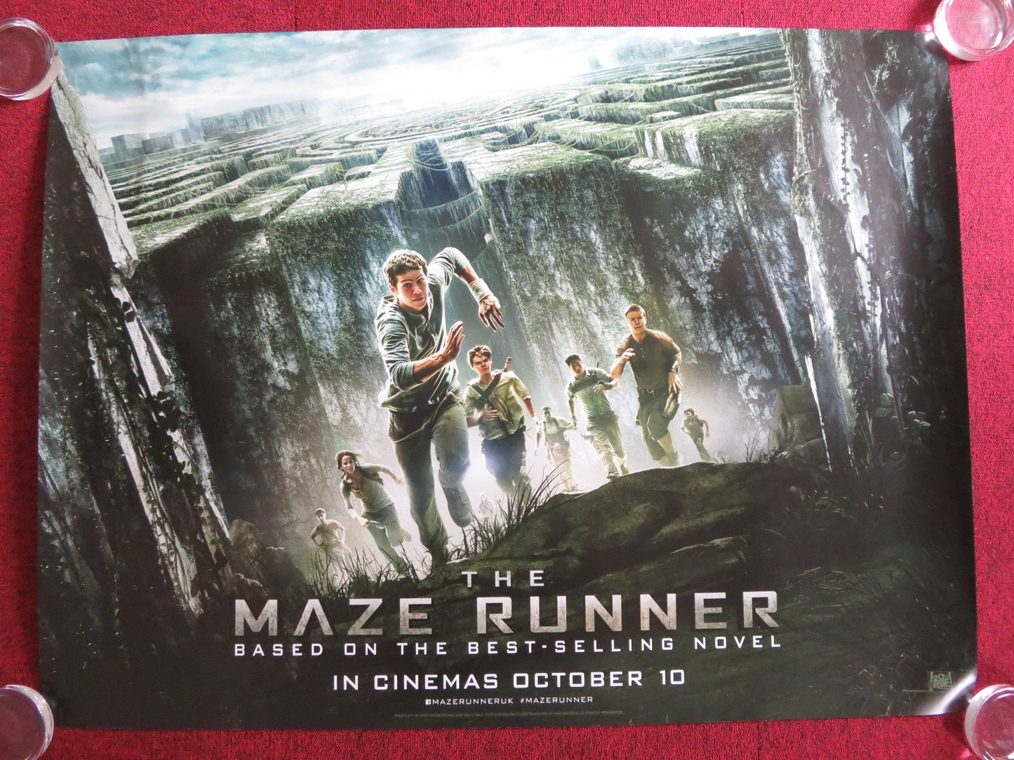 MAZE RUNNER UK QUAD (30"x 40") ROLLED POSTER DYLAN O'BRIEN WILL POULTER 2014 Rendezvous Cinema Movie posters