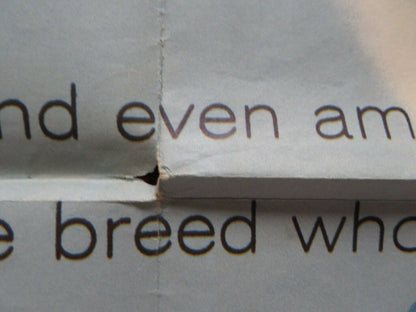 MCCONNEL STORY FOLDED US ONE SHEET POSTER ALAN LADD JUNE ALLYSON 1955 Rendezvous Cinema Movie posters