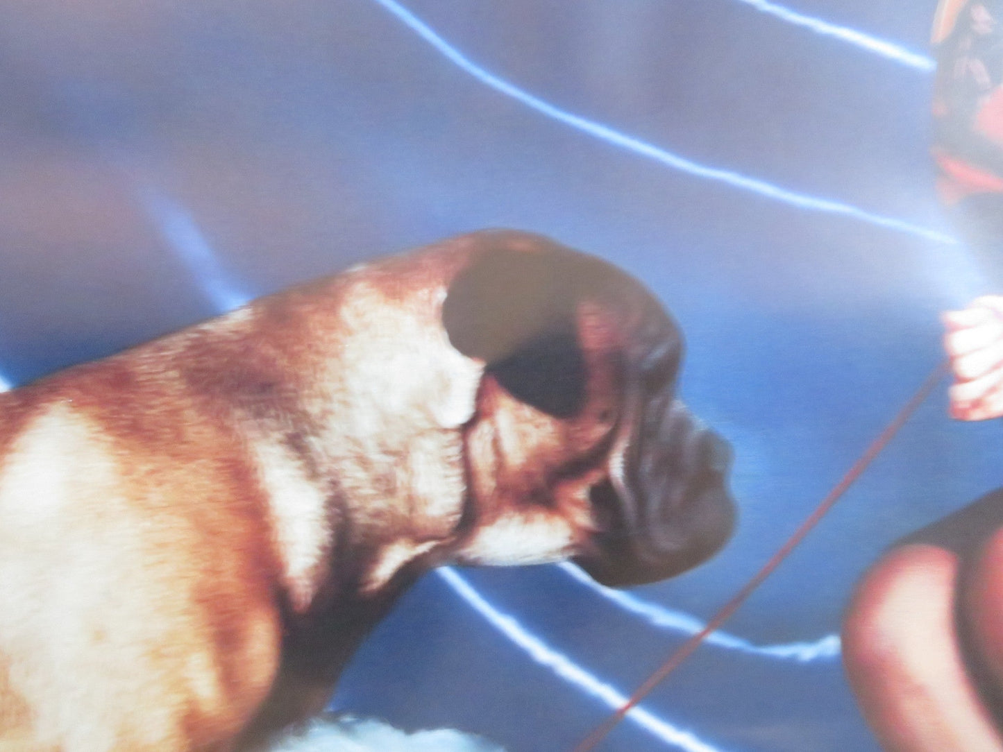 MENAGE US ONE SHEET ROLLED POSTER GERARD DEPARDIEU MIOU - MIOU 1986 Rendezvous Cinema Movie posters