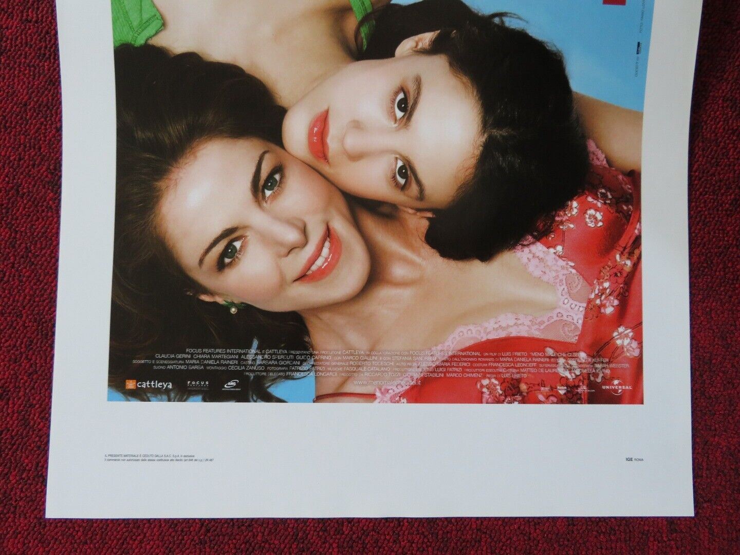 MENO MALE CHE CI SEI ITALIAN LOCANDINA (27.5"x13") POSTER CLAUDIA GERINI 2009 Movie posters