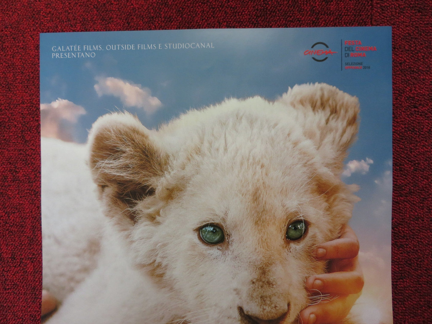 MIA AND THE WHITE LION ITALIAN LOCANDINA POSTER DANIAH DE VILLIERS 2018 Rendezvous Cinema Movie posters