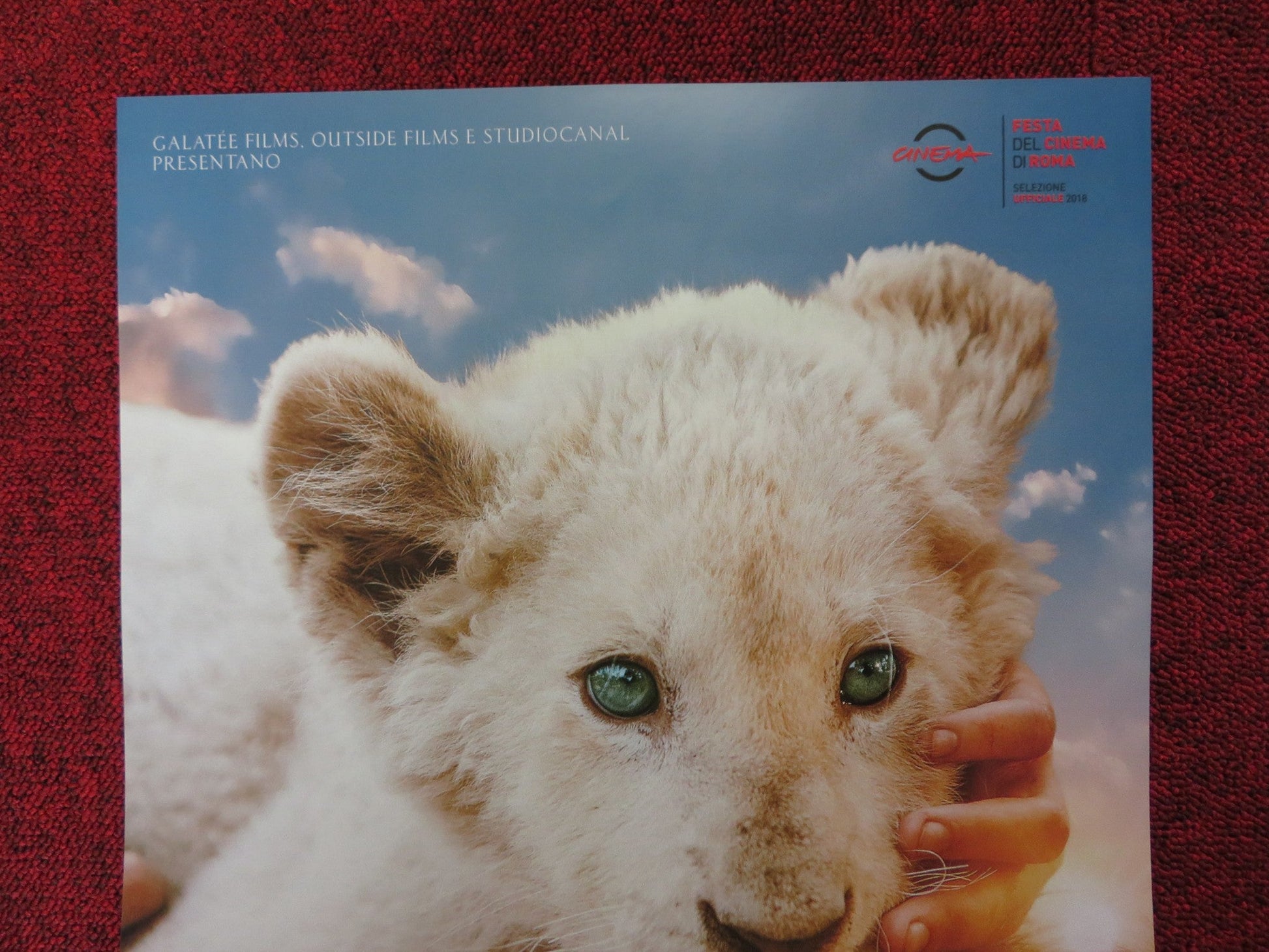 MIA AND THE WHITE LION ITALIAN LOCANDINA POSTER DANIAH DE VILLIERS 2018 Rendezvous Cinema Movie posters