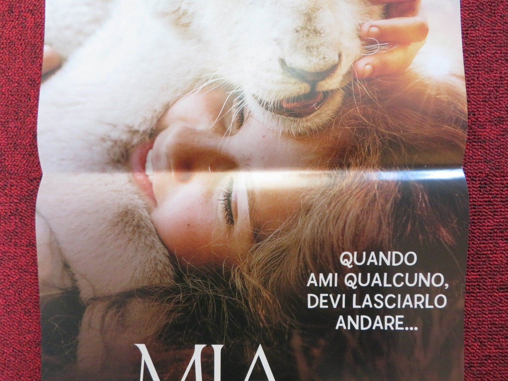 MIA AND THE WHITE LION ITALIAN LOCANDINA POSTER DANIAH DE VILLIERS 2018 Rendezvous Cinema Movie posters