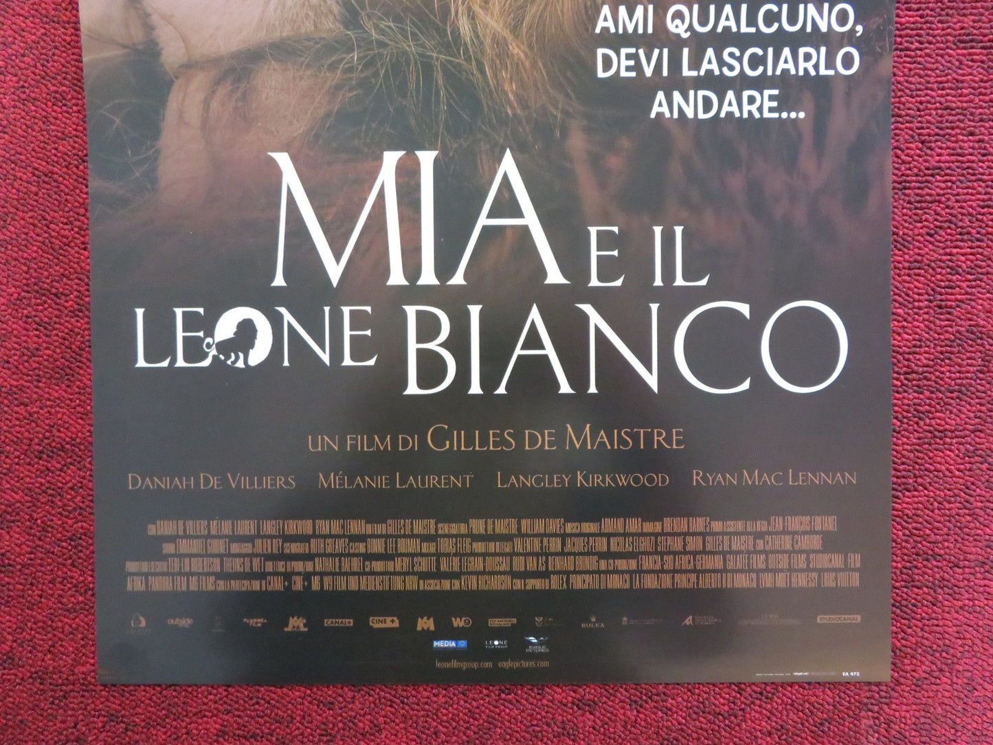MIA AND THE WHITE LION ITALIAN LOCANDINA POSTER DANIAH DE VILLIERS 2018 Rendezvous Cinema Movie posters