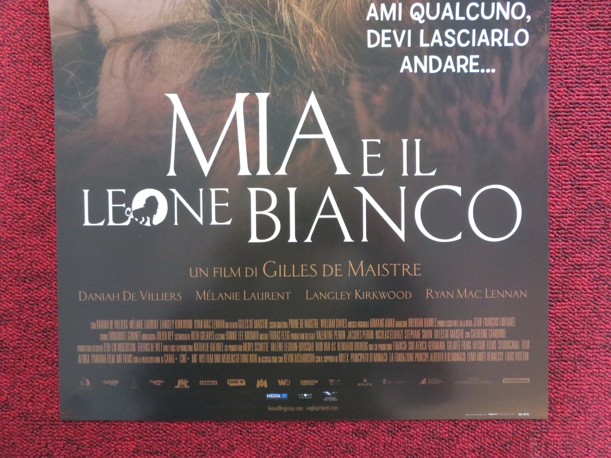MIA AND THE WHITE LION ITALIAN LOCANDINA POSTER DANIAH DE VILLIERS 2018 Rendezvous Cinema Movie posters