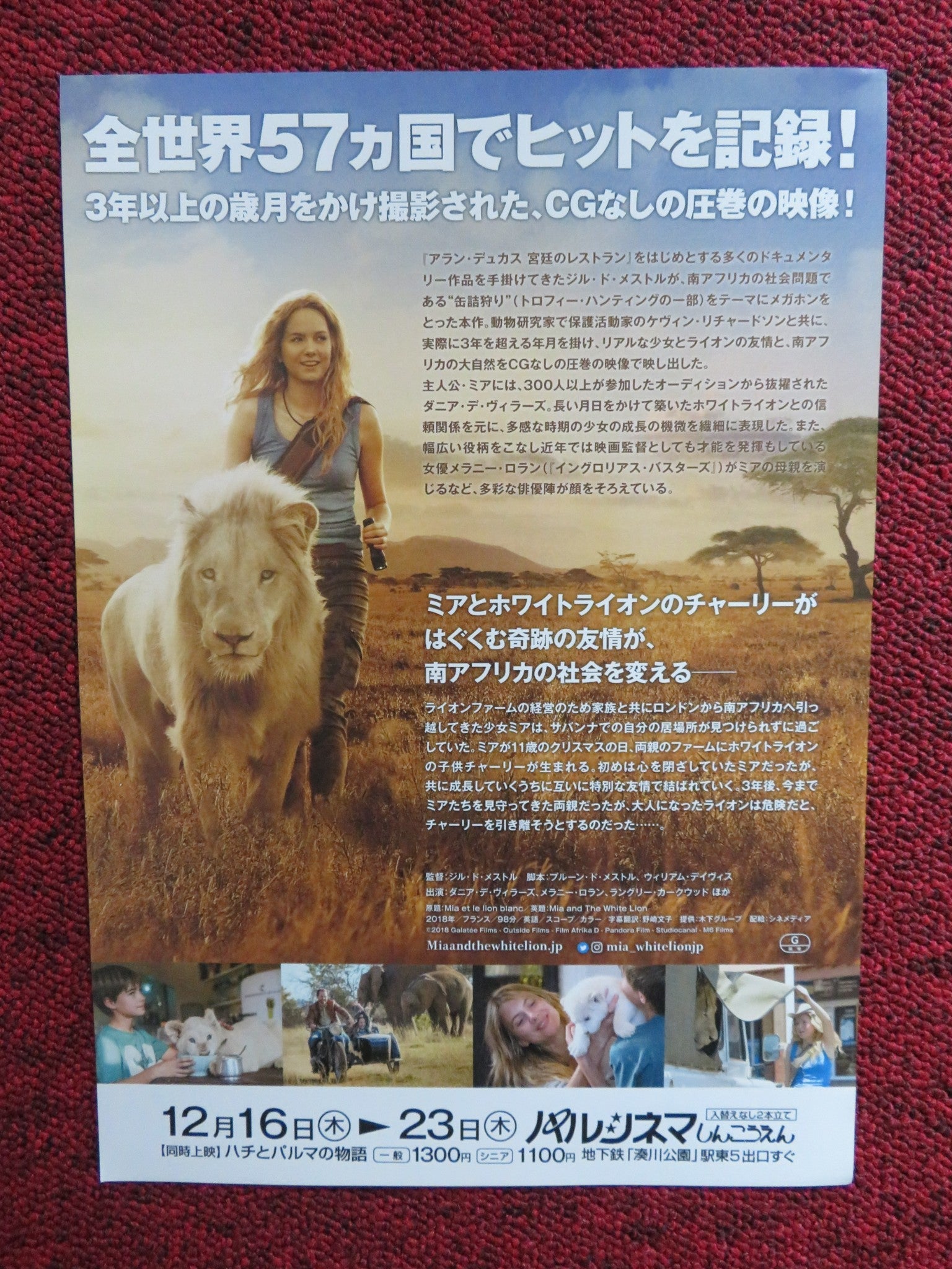 MIA AND THE WHITE LION JAPANESE CHIRASHI (B5) POSTER DANIAH DE VILLIERS 2018 Rendezvous Cinema Movie posters