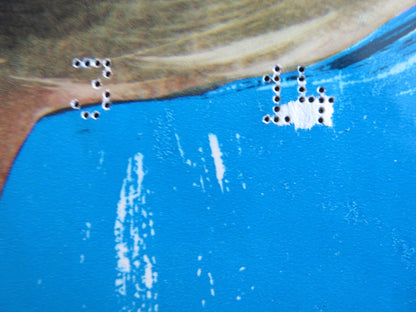 MICHAEL AND HELGA - A ITALIAN FOGLIO POSTER RUTH GASSMAN FELIX FRANCHY 1968 Rendezvous Cinema Movie posters