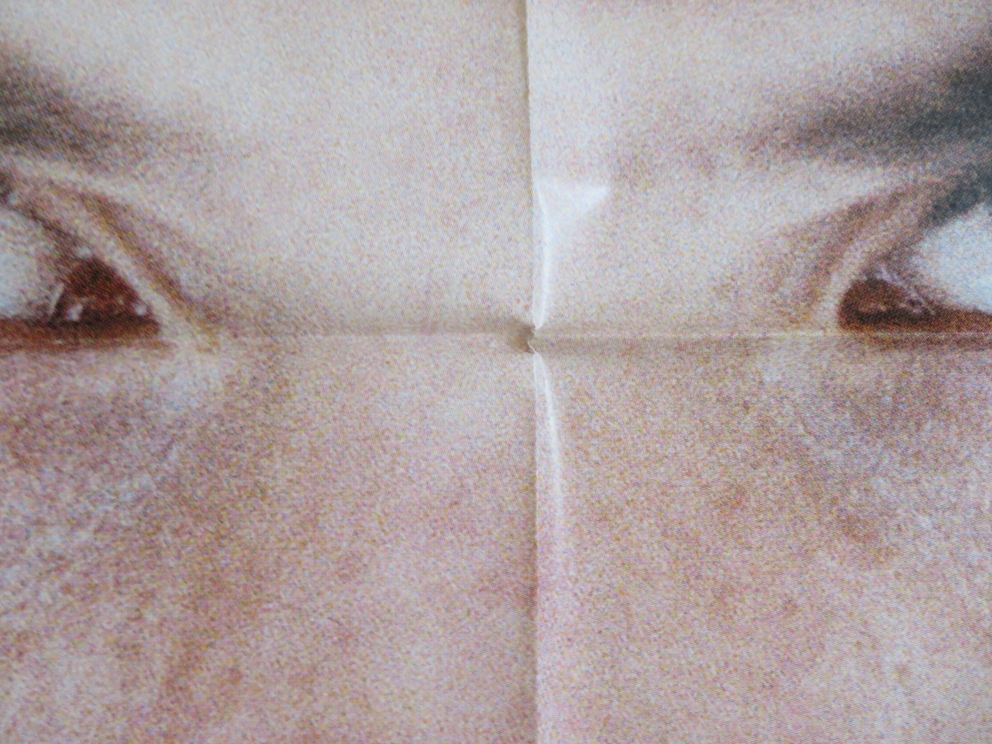 MICHEL VAILLANT ITALIAN 2 FOGLIO POSTER SAGAMORE STEVENIN PETER YOUNGBLOOD 2003 Rendezvous Cinema Movie posters