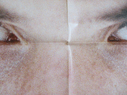 MICHEL VAILLANT ITALIAN 2 FOGLIO POSTER SAGAMORE STEVENIN PETER YOUNGBLOOD 2003 Rendezvous Cinema Movie posters