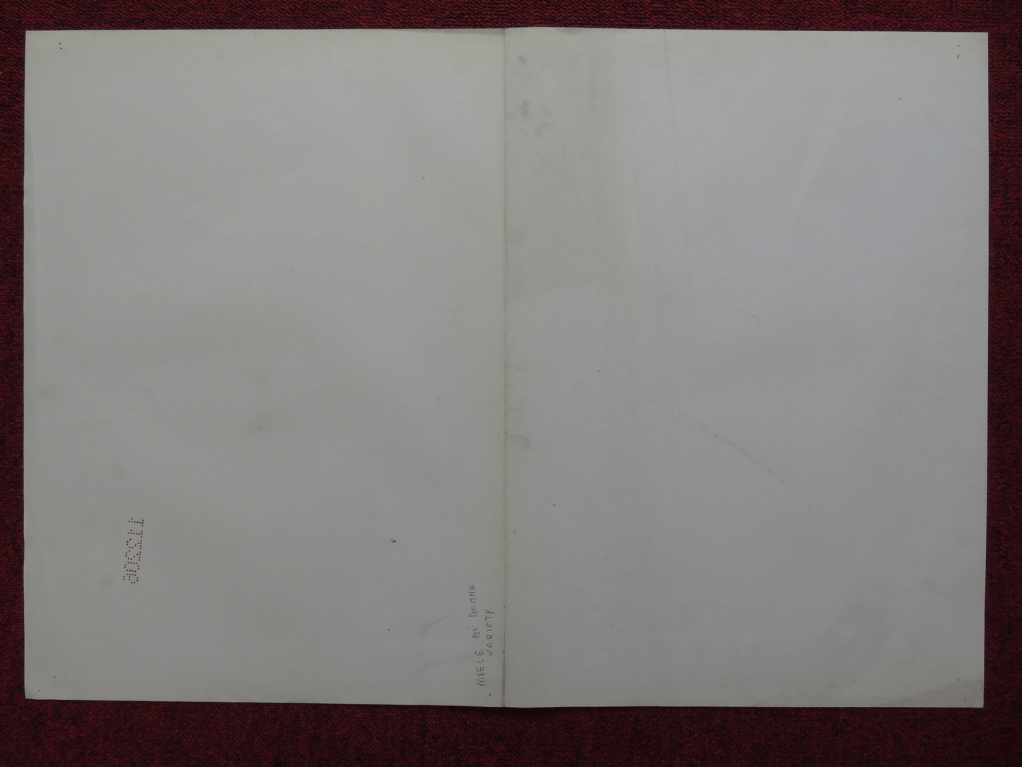 MIELE DI DONNA / HONEY ITALIAN FOTOBUSTA POSTER C.GOLDSMITH CATHERINE SPAAK '81 Rendezvous Cinema Movie posters