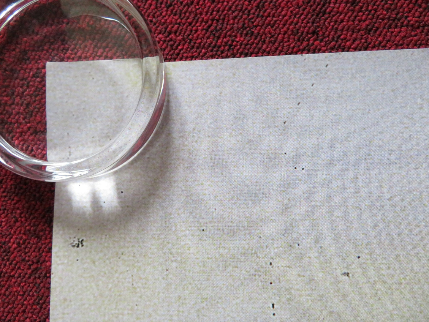 MIFUNE UK QUAD (30"x 40") ROLLED POSTER IBEN HJEJLE ANDERS W. BERTHELSEN 1999 Rendezvous Cinema Movie posters