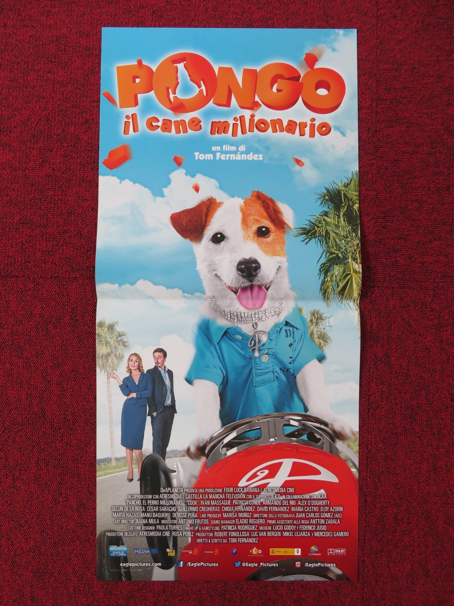 MILLIONAIRE DOG ITALIAN LOCANDINA POSTER IVAN MASSAGUE PATRICIA CONDE 2014 Rendezvous Cinema Movie posters