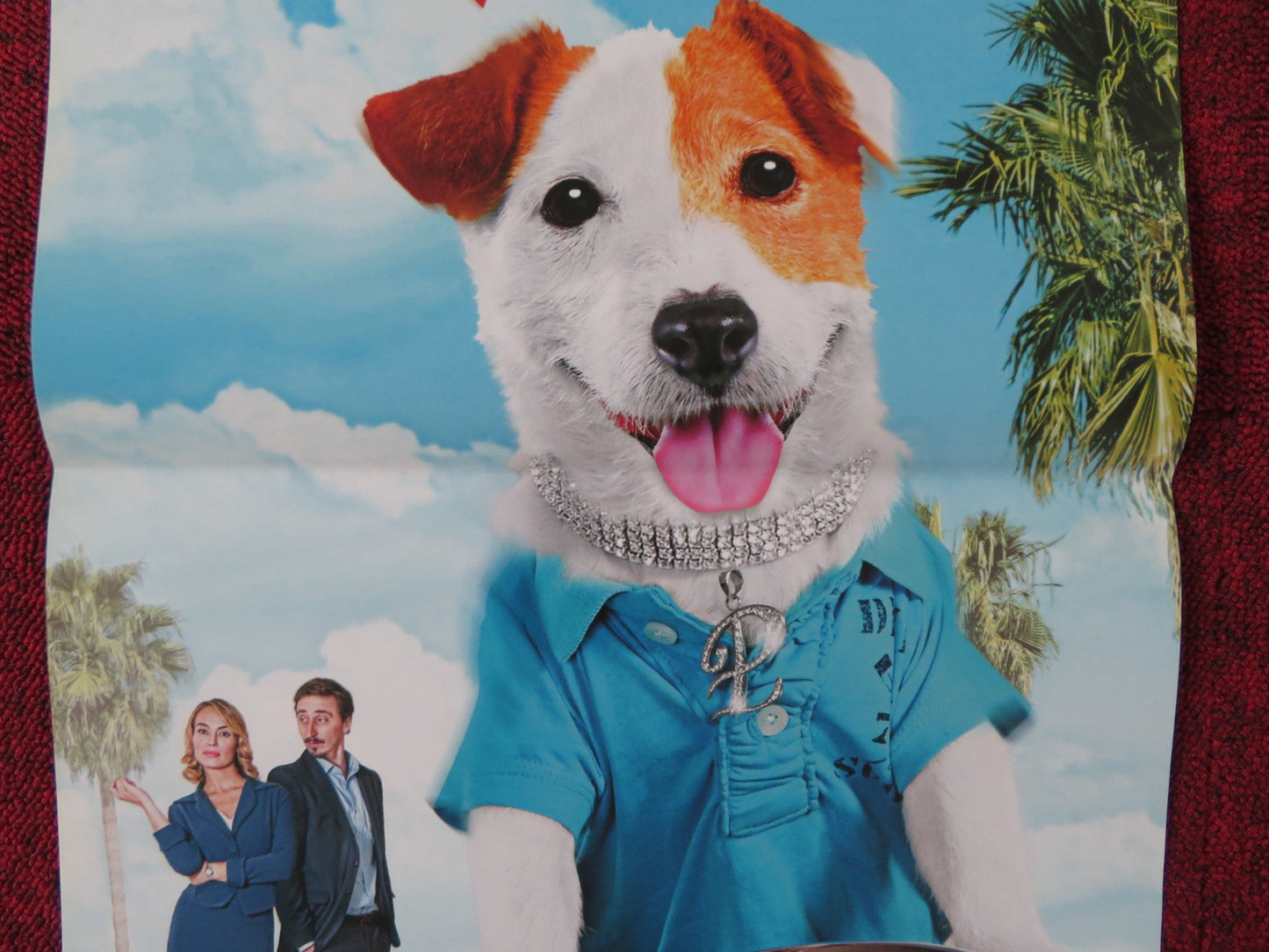 MILLIONAIRE DOG ITALIAN LOCANDINA POSTER IVAN MASSAGUE PATRICIA CONDE 2014 Rendezvous Cinema Movie posters