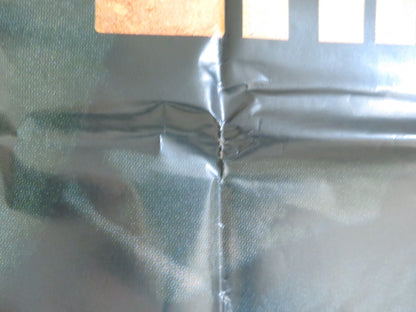 MIRACLE AT ST. ANNA ITALIAN 2 FOGLIO POSTER DEREK LUKE MICHAEL EALY 2008 Rendezvous Cinema Movie posters