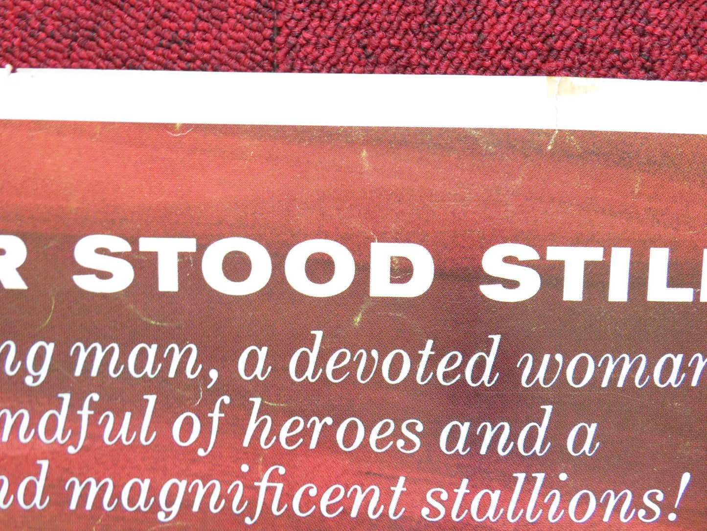 MIRACLE OF THE WHITE STALLIONS US HALF SHEET (22"x 28") POSTER DISNEY 1963 Rendezvous Cinema Movie posters