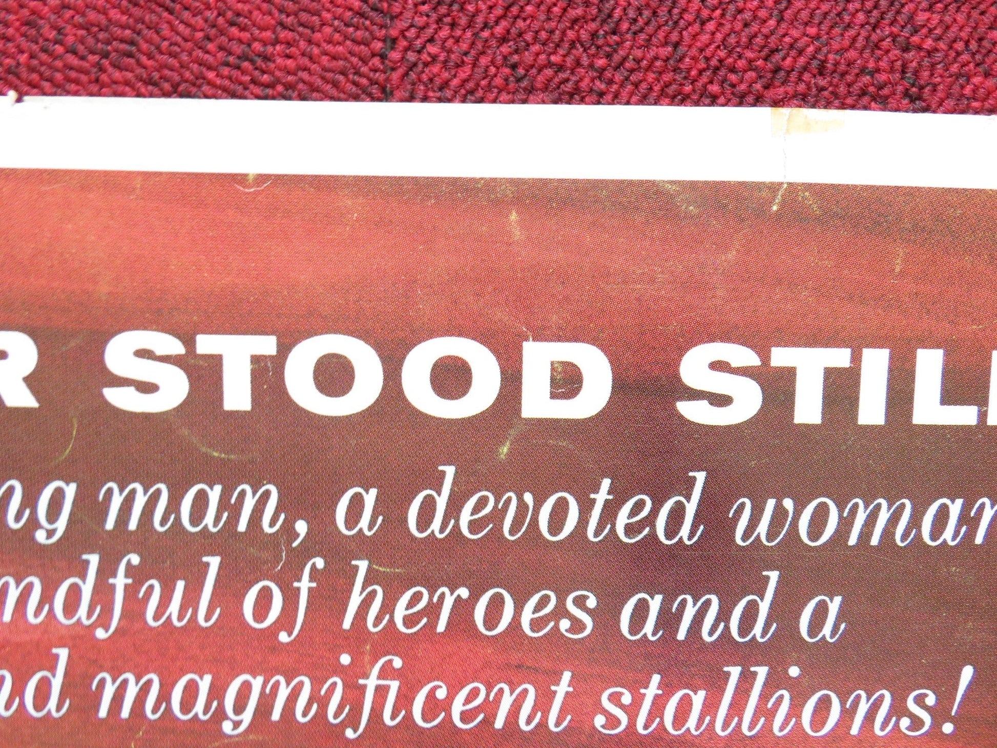 MIRACLE OF THE WHITE STALLIONS US HALF SHEET (22"x 28") POSTER DISNEY 1963 Rendezvous Cinema Movie posters