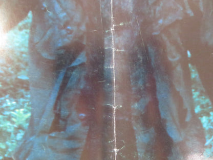 MISSING IN ACTION - A ITALIAN FOTOBUSTA POSTER CHUCK NORRIS CANNON 1985 Rendezvous Cinema Movie posters