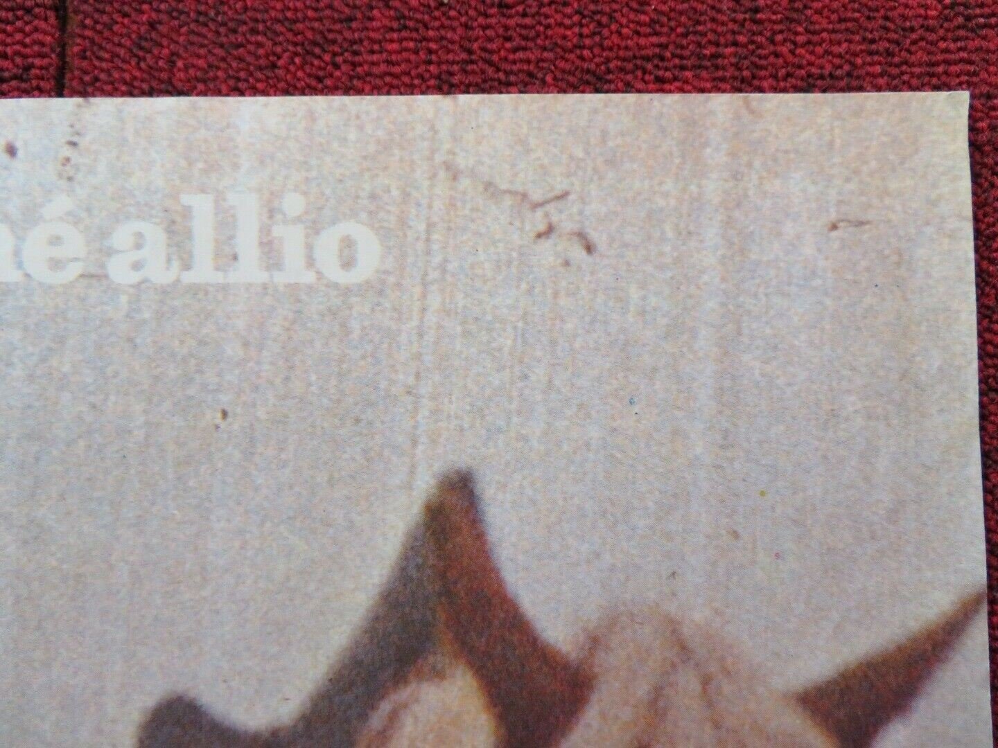 MOI, PIERRE RIVIÈRE, AYANT ÉGORGÉ MA MÈRE... FRENCH (16"x 21") POSTER 1976 Movie posters