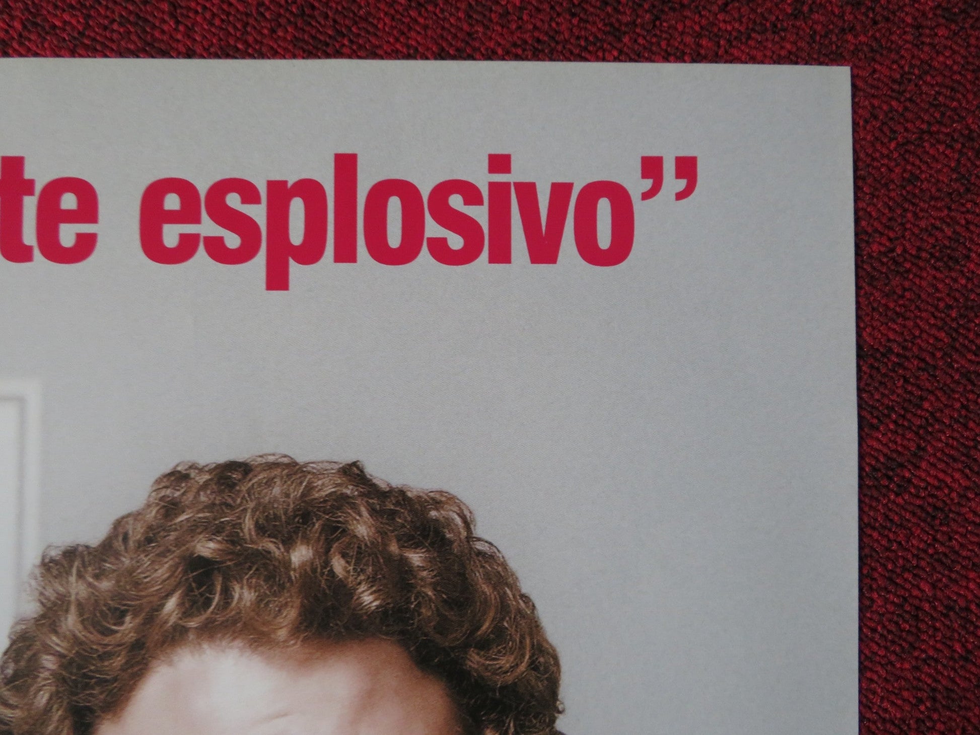 MOLTO INCINTA / KNOCKED UP ITALIAN FOGLIO POSTER SETH ROGEN KATHERINE HEIGL 2007 Rendezvous Cinema Movie posters