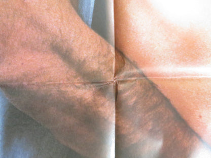 MON BEL AMOUR, MA DECHIRURE ITALIAN 2 FOGLIO POSTER STEPHANE FERRARA 1987 Rendezvous Cinema Movie posters