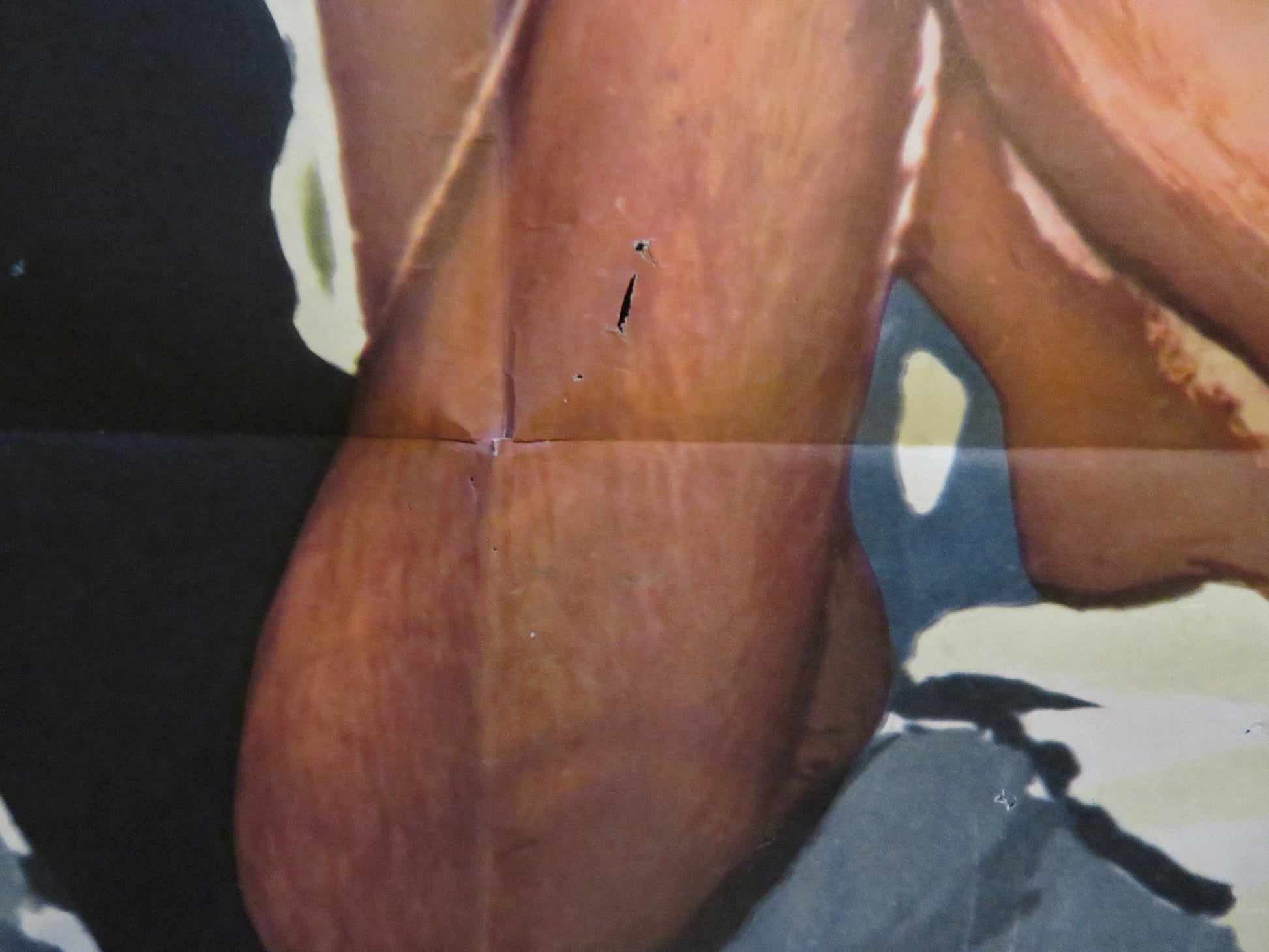 MONDO CANE SPANISH POSTER STEFANO SIBALDI ROSSANO BRAZZI 1962 Rendezvous Cinema Movie posters