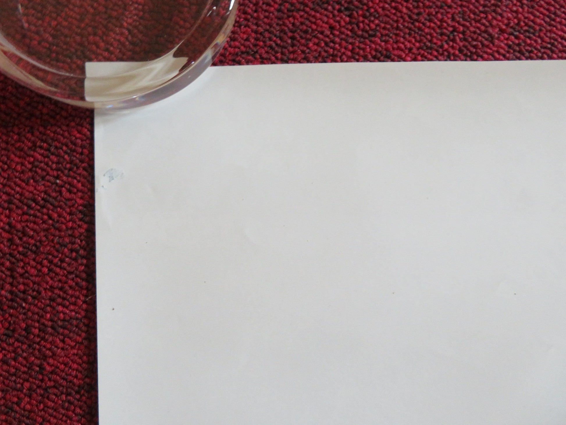 MONK WITH A CAMERA ROLLED 30" X 28" PRINT POSTER THE DALAI LAMA Rendezvous Cinema Movie posters