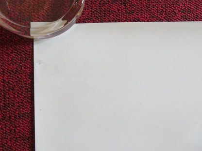 MONK WITH A CAMERA ROLLED 30" X 28" PRINT POSTER THE DALAI LAMA Rendezvous Cinema Movie posters