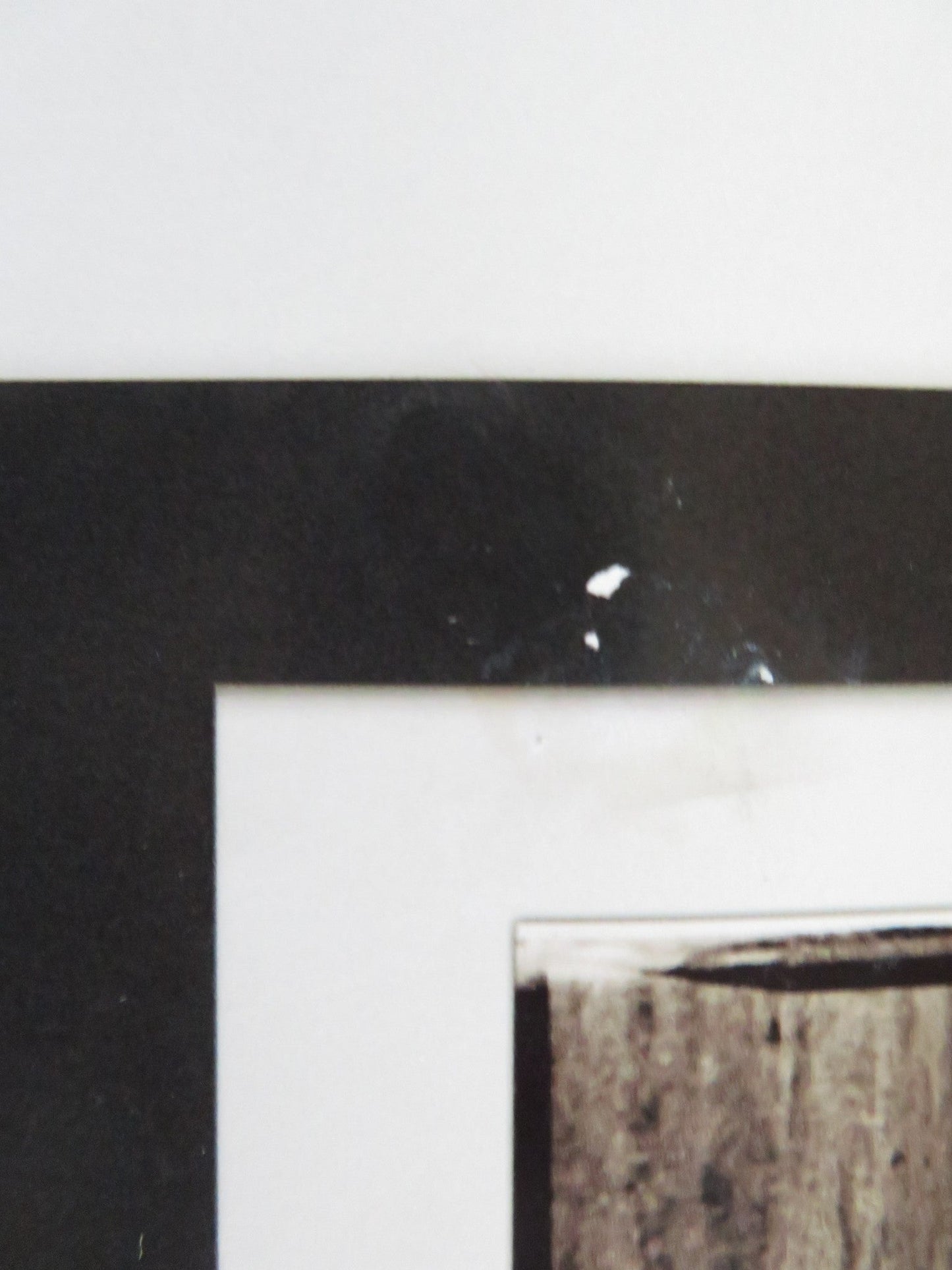 MONK WITH A CAMERA ROLLED 30" X 28" PRINT POSTER THE DALAI LAMA Rendezvous Cinema Movie posters