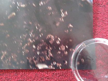 MONSTER TRUCKS UK QUAD ROLLED POSTER LUCAS TILL JANE LEVY 2016 Rendezvous Cinema Movie posters