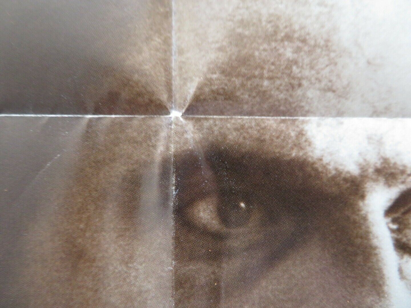 MOONLIGHTING US ONE SHEET POSTER JEREMY IRONS EUGENE LIPINSKI 1982 Movie posters