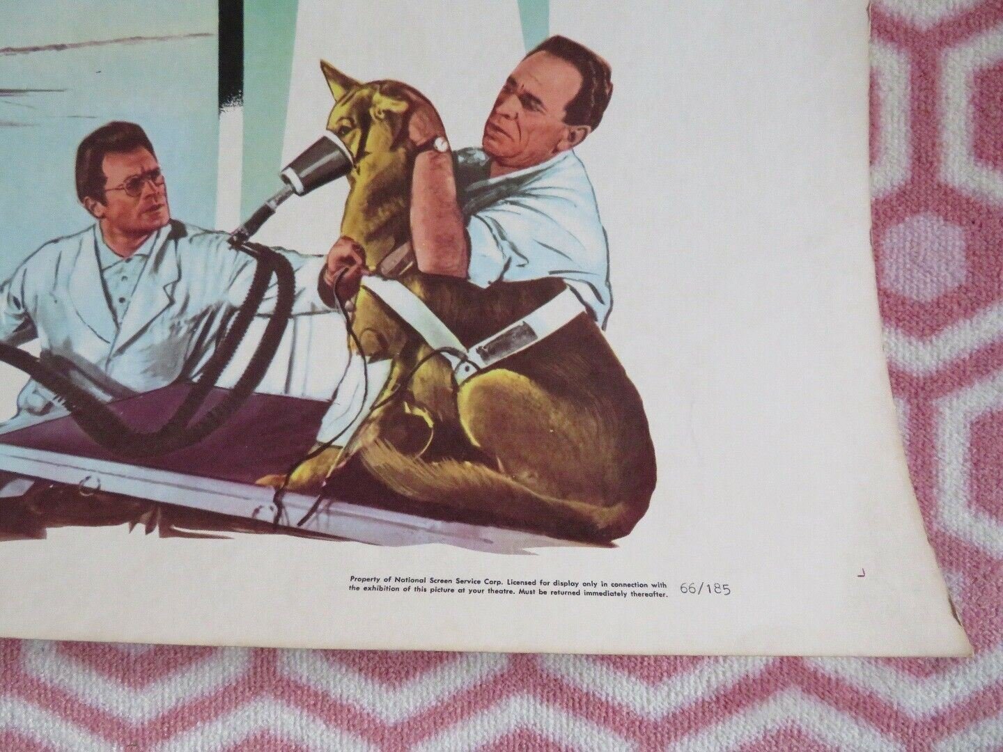 MOONWOLF 30"x 40" ON CARD ROLLED POSTER CARL MOEHNER ANN SAVO R1966 Movie posters