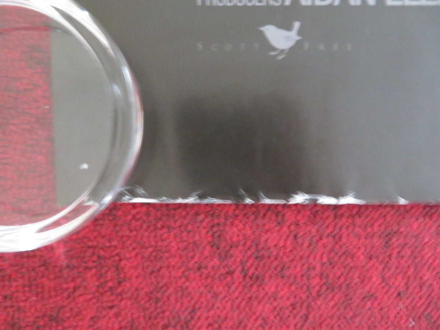 MORGAN UK QUAD (30"x 40") ROLLED POSTER ANYA TAYLOR - JOY KATE MARA 2016 Rendezvous Cinema Movie posters