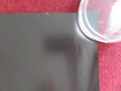 MORGAN UK QUAD (30"x 40") ROLLED POSTER ANYA TAYLOR - JOY KATE MARA 2016 Rendezvous Cinema Movie posters