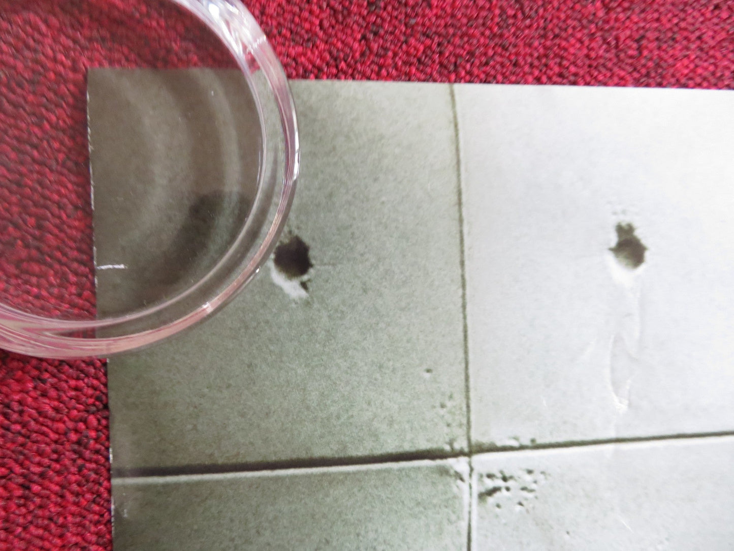 MORGAN US ONE SHEET ROLLED POSTER ANYA TAYLOR - JOY KATE MARA RIDLEY SCOTT 2016 Rendezvous Cinema Movie posters