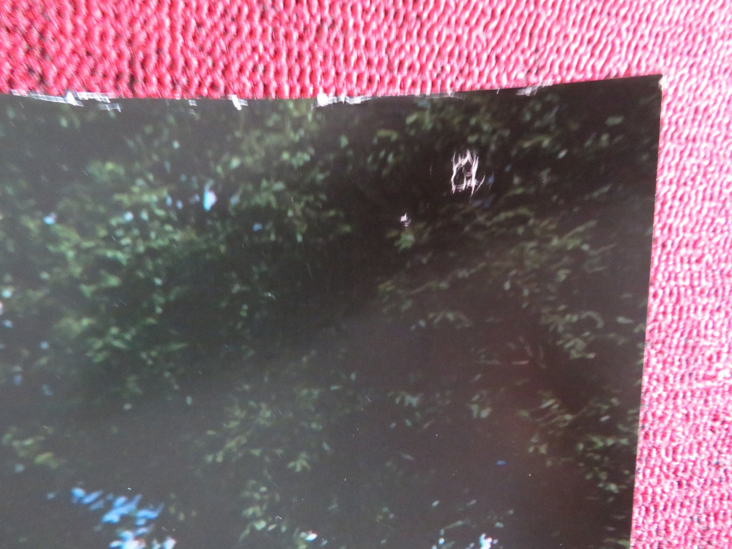 MORRIS: A LIFE WITH BELLS ON UK QUAD (30"x 40") ROLLED POSTER LUCY AKHURST 2009 Rendezvous Cinema Movie posters