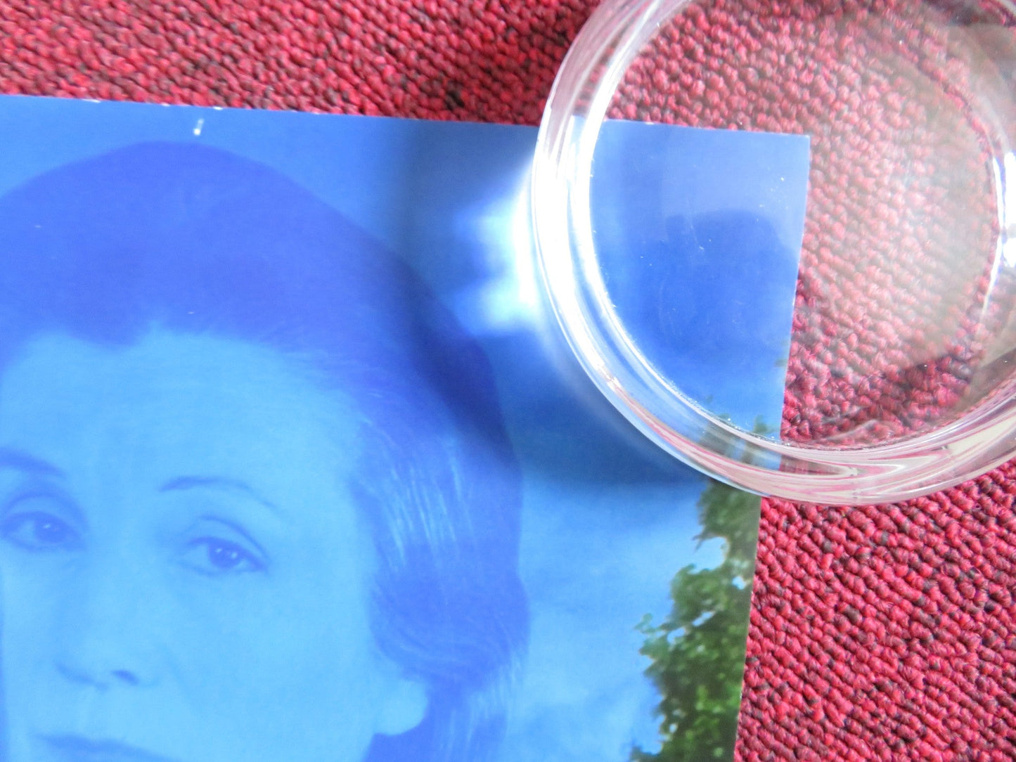 MORRIS: A LIFE WITH BELLS ON US ONE SHEET ROLLED POSTER LUCY AKHURST 2009 Rendezvous Cinema Movie posters