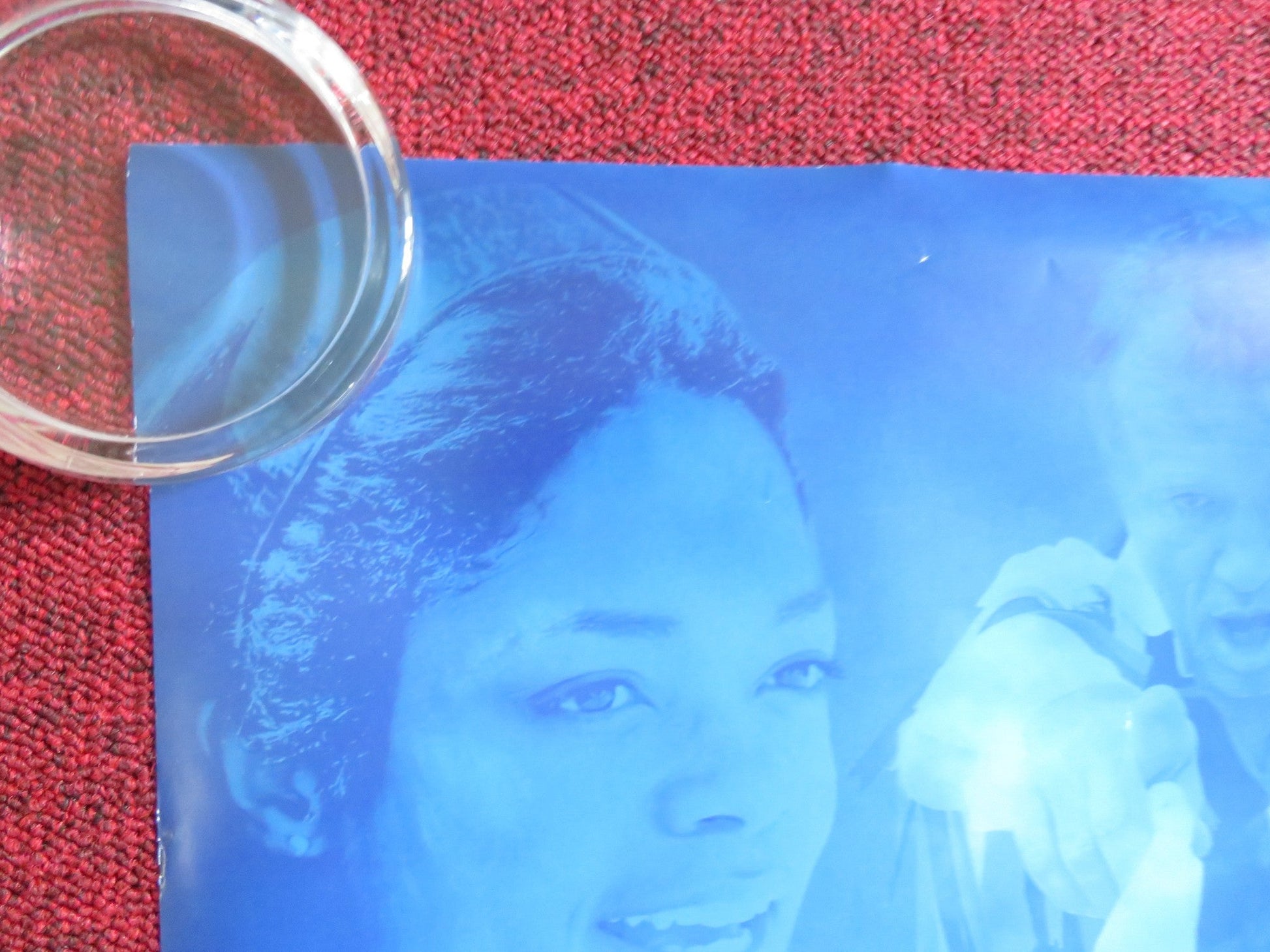 MORRIS: A LIFE WITH BELLS ON US ONE SHEET ROLLED POSTER LUCY AKHURST 2009 Rendezvous Cinema Movie posters