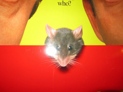 MOUSE HUNT US ONE SHEET ROLLED POSTER NATHAN LANE LEE EVANS '97 Movie posters