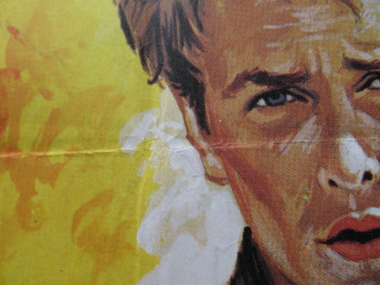 MOVING VIOLATION SPANISH ROLLED POSTER STEPHEN MCHATTIE KAY LENZ 1976 Movie posters